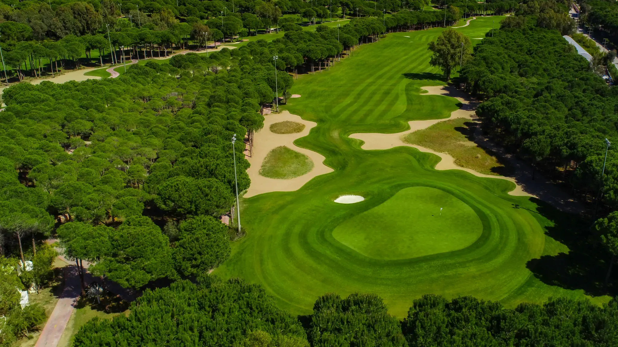 Montgomerie Maxx Royal
