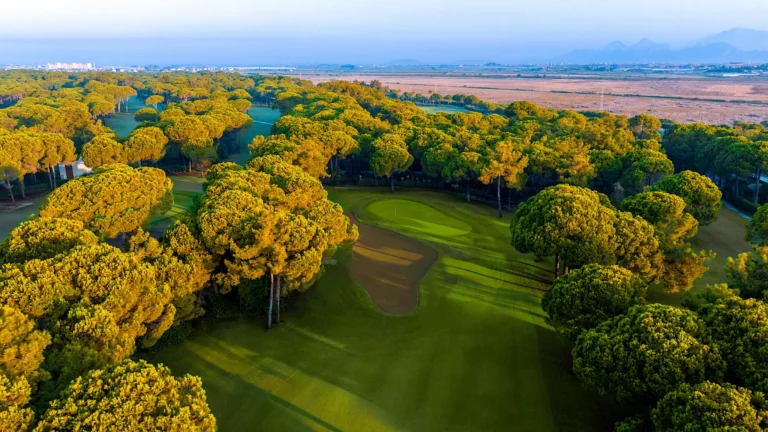 글로리아 올드 골프 코스