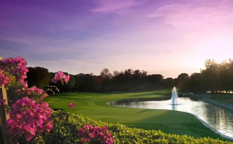 내셔널 골프 코스