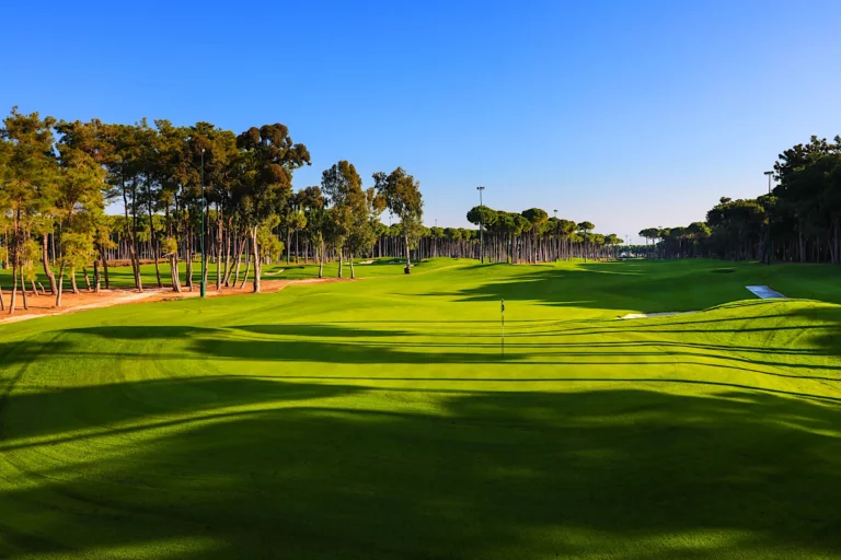 Carya golfbane