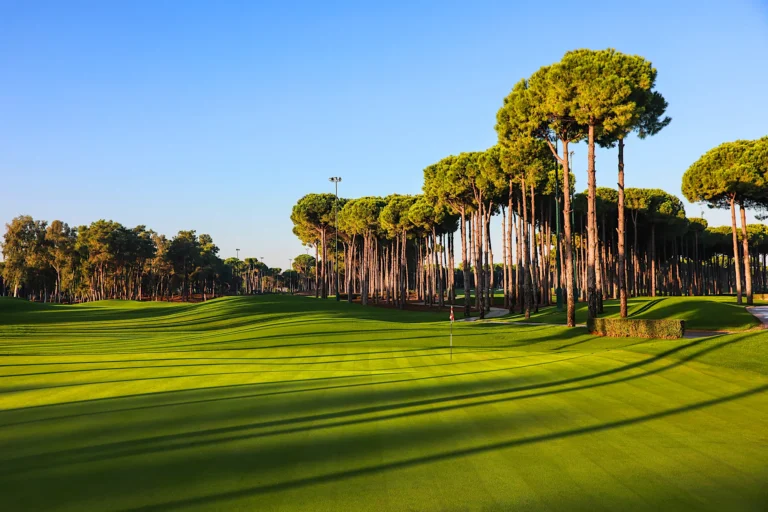 Carya golfbane