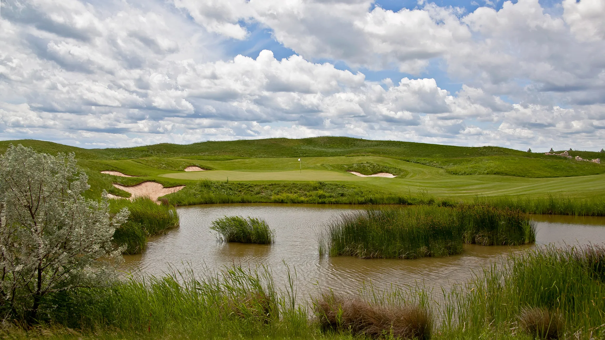 Blacksearama Golf Course