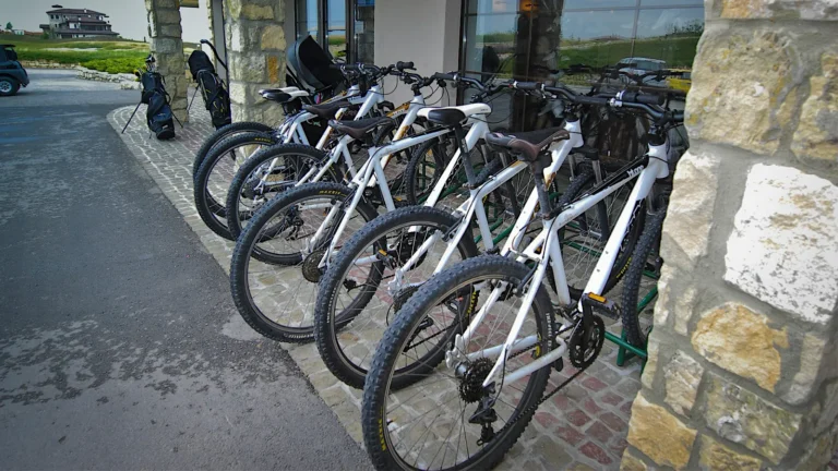 Închirieri biciclete