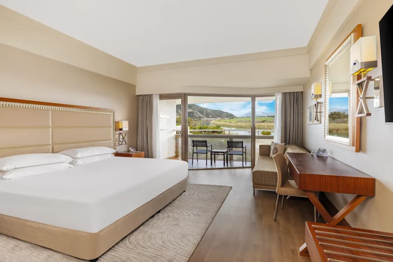 Guest Room King / Twin River View